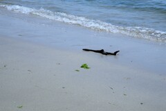 渚の物語。。。！