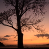 夕闇シルエット　④。。。！