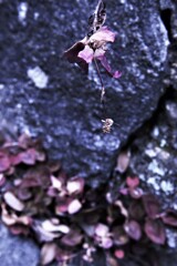 終焉の時。。。！