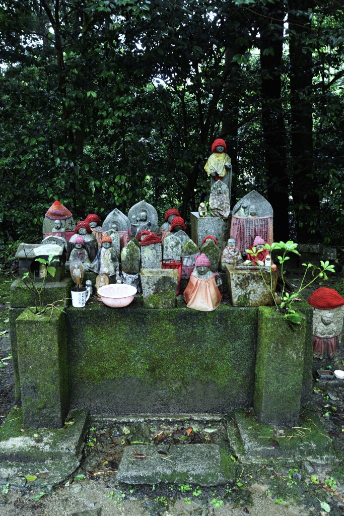 時雨の山寺にて　➂。。。！