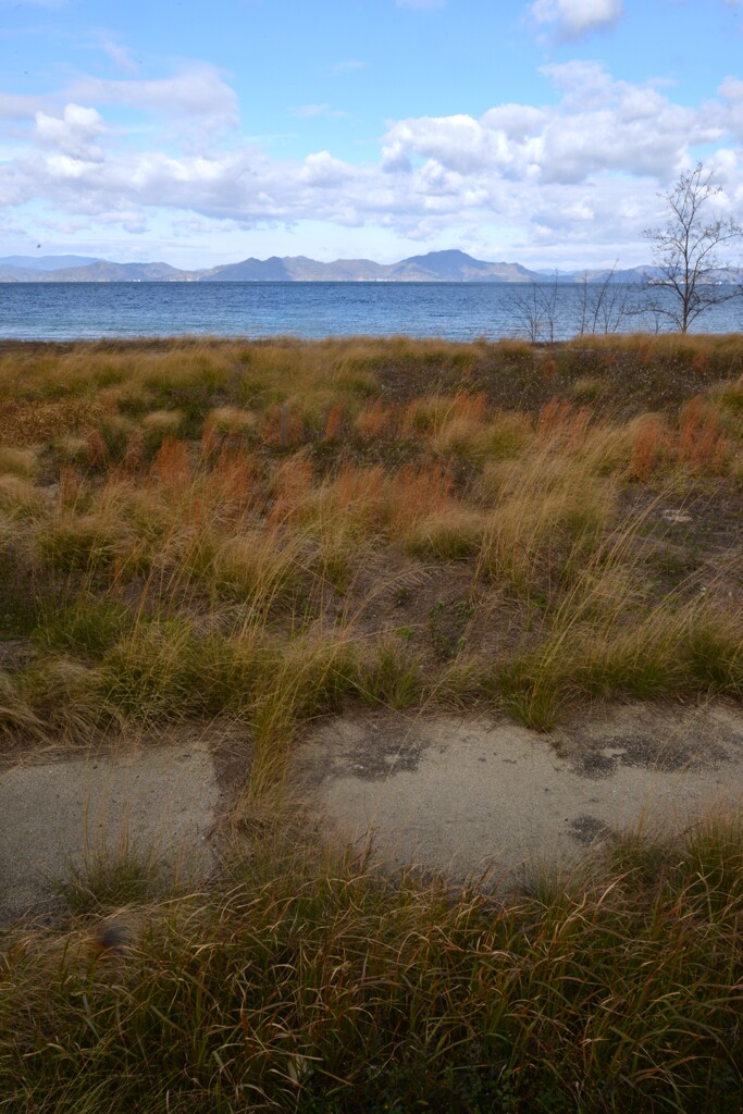 初冬の海　④。。。！