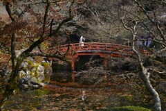 静かに春を待つ　②。。。！