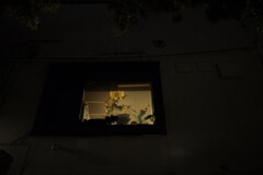 灯り。。。！　③
