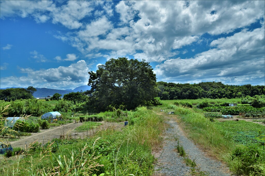 散歩道にて　③。。。！