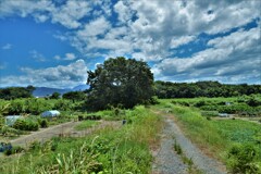 散歩道にて　③。。。！