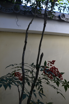 この片隅で　①。。。！