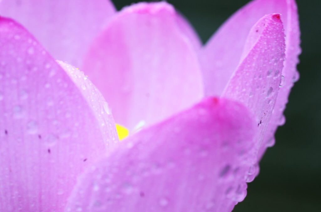 雨粒メロディー　②。。。！