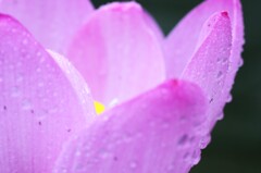 雨粒メロディー　②。。。！