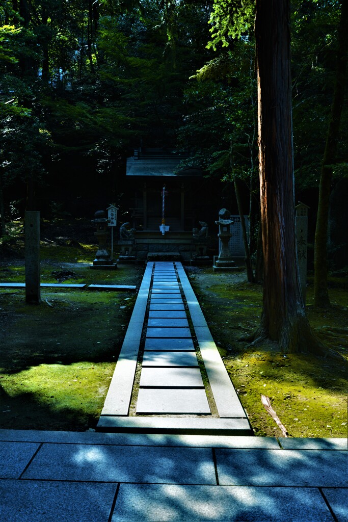 石鎚神社．．静寂の中で　①。。。！