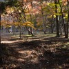 神社の秋　⑤。。。！