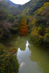 ダム湖の晩秋　②。。。！