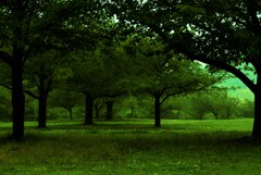 雨に佇む公園。。。! 雨に佇む公園。。。!