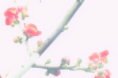 優しさの理由。。。！