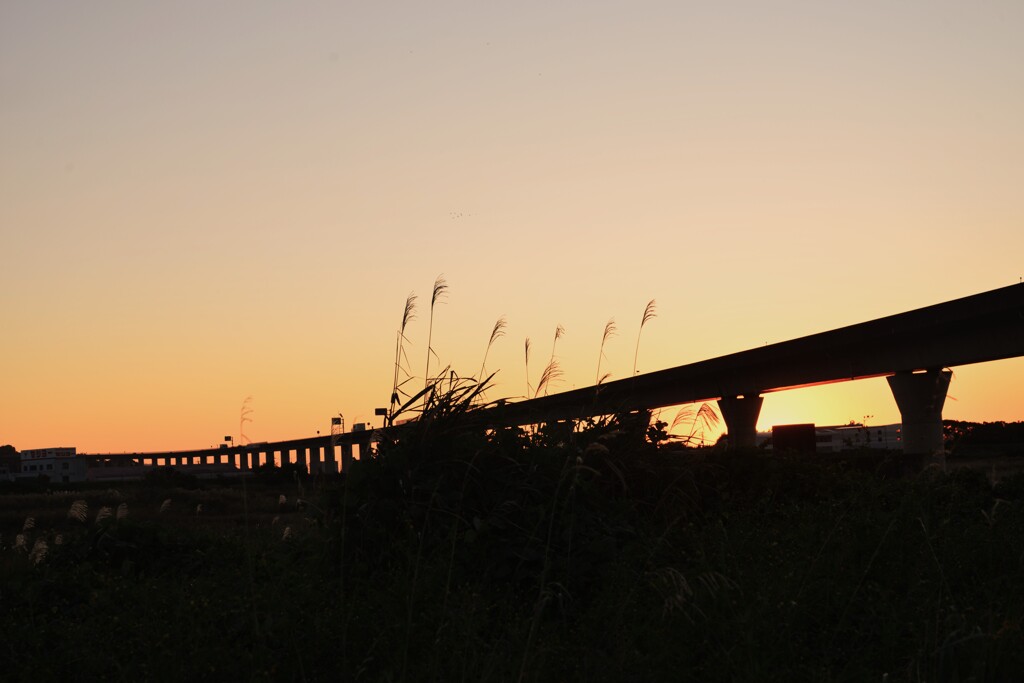 秋暮れの河川敷　②。。。！