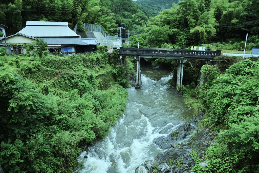 雨上がり　➂。。。！