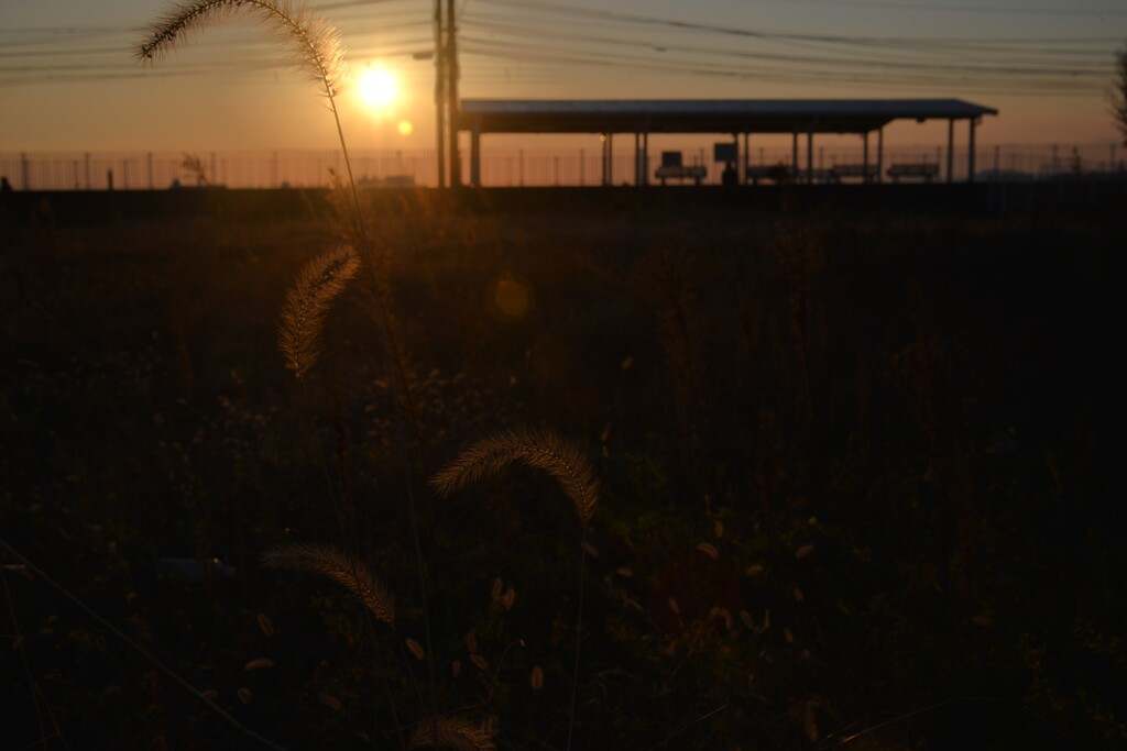 黄昏駅　①。。。！