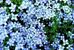 星屑のステージ。。。！