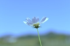 秋色の夢　②。。。！