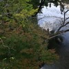 秋色の森へ行きましょう　②。。。！