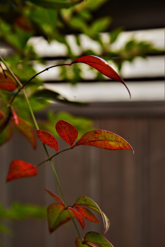 裏木戸。。。！