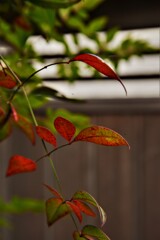 裏木戸。。。！