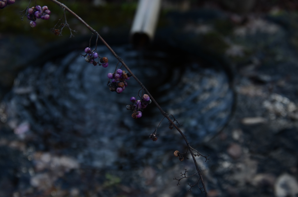 ただ静寂の漂い。。。！