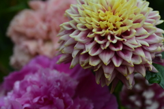 愛しの花束を　①。。。！