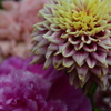 愛しの花束を　①。。。！