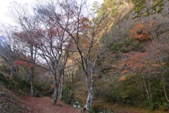 高原の深秋　⑥。。。！