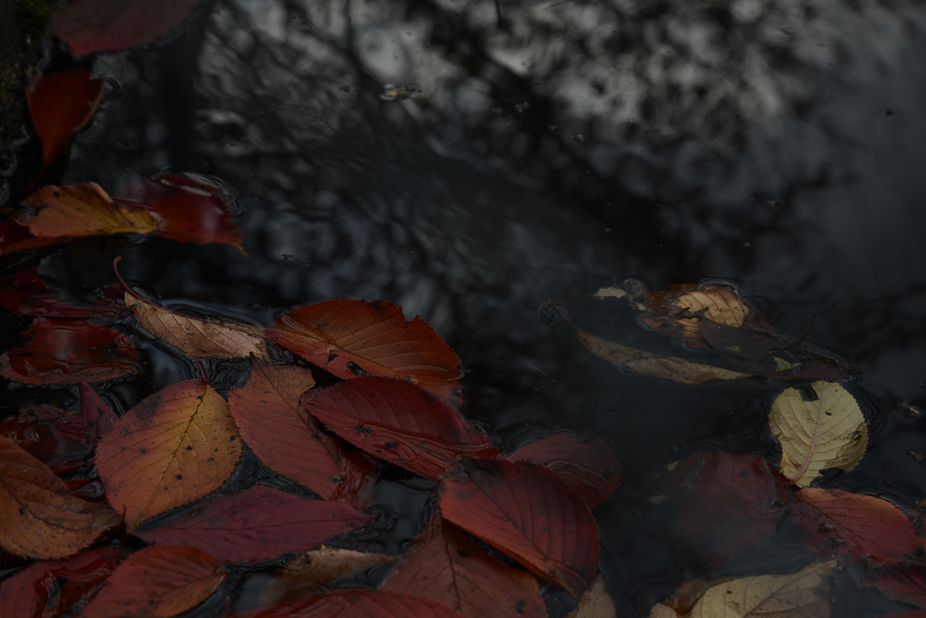 終焉の足跡。。。！