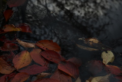 終焉の足跡。。。！