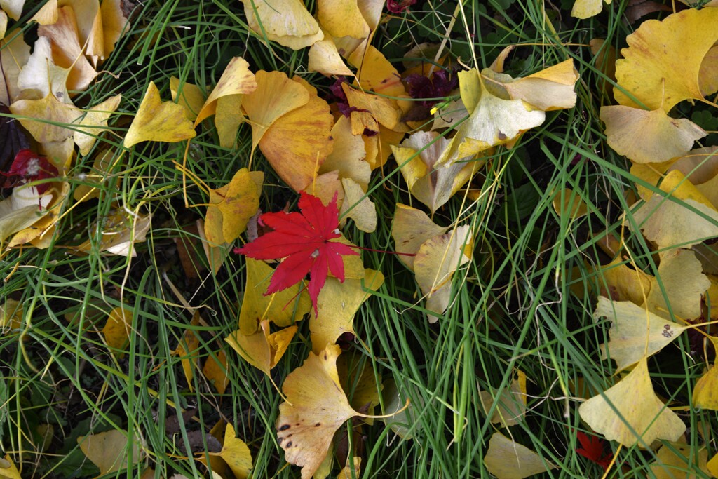 時の過ぎゆく　➂。。。！