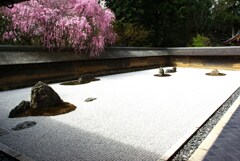 枯れ山水。。。！