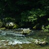 清々しい渓流。。。！