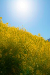 幻想の輝き。。。！
