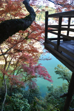 不老庵と紅葉　➂。。。！