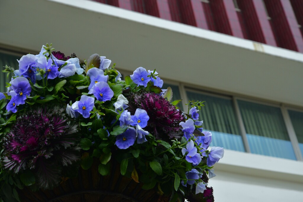 都会に花束を　。。。！