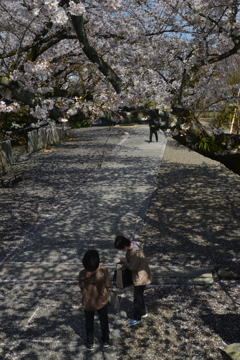 久妙寺．．贈る言葉　➂。。。！