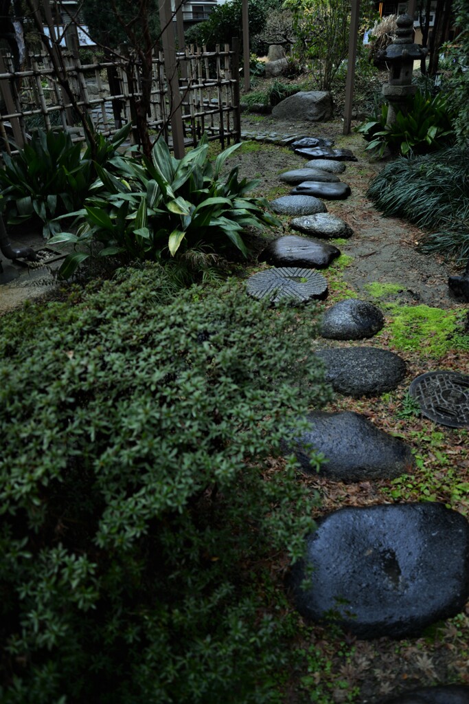 庚申庵点描　⑤。。。！