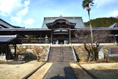 山寺と黄梅　⑤。。。！
