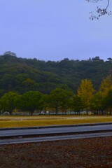 雨の城山　➁。。。！