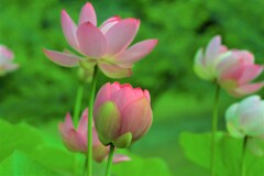 千年の宴　④。。。！