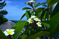 beachTarim　①。。。！