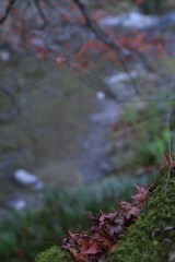 高原の深秋　⑤。。。！