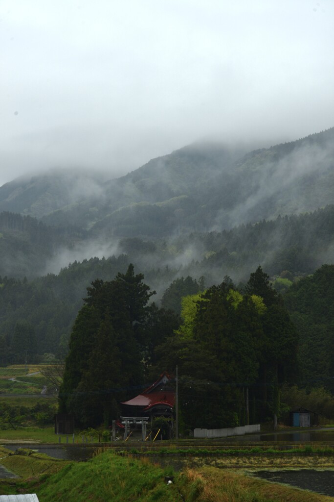 雨煙る天空の里　④。。。！