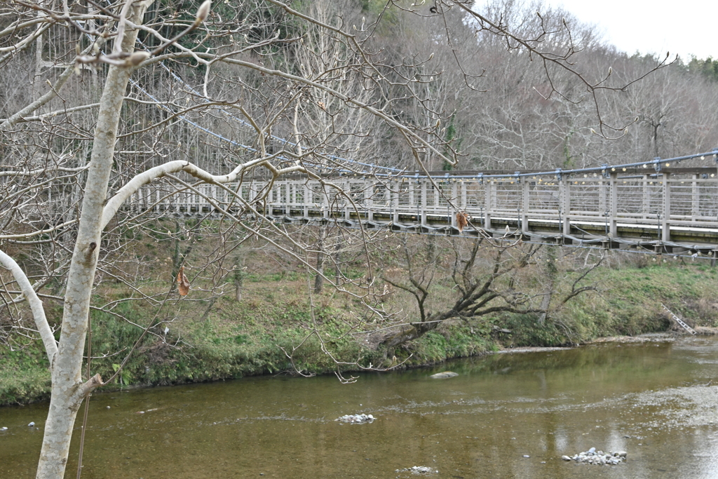 冬枯れの吊り橋　①。。。！