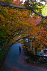 静寂の秋に浸る　⑥。。。！