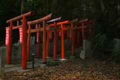 摩訶不思議の世界　②。。。！