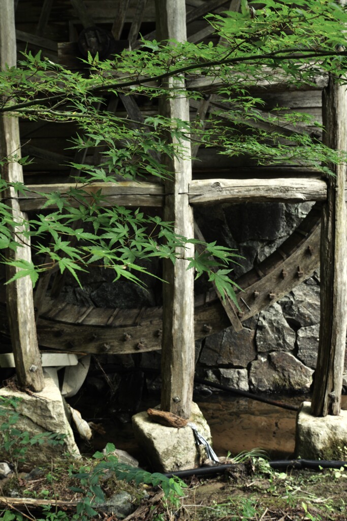 ふるさと村　⑥。。。！