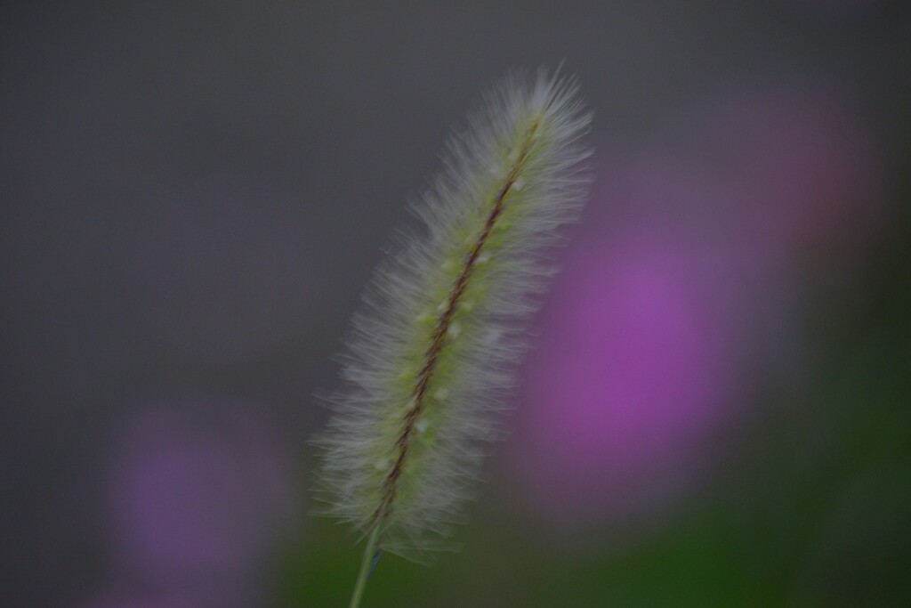 私の主張　④。。。！